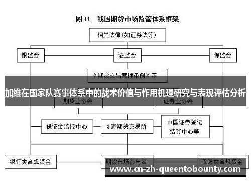 加维在国家队赛事体系中的战术价值与作用机理研究与表现评估分析